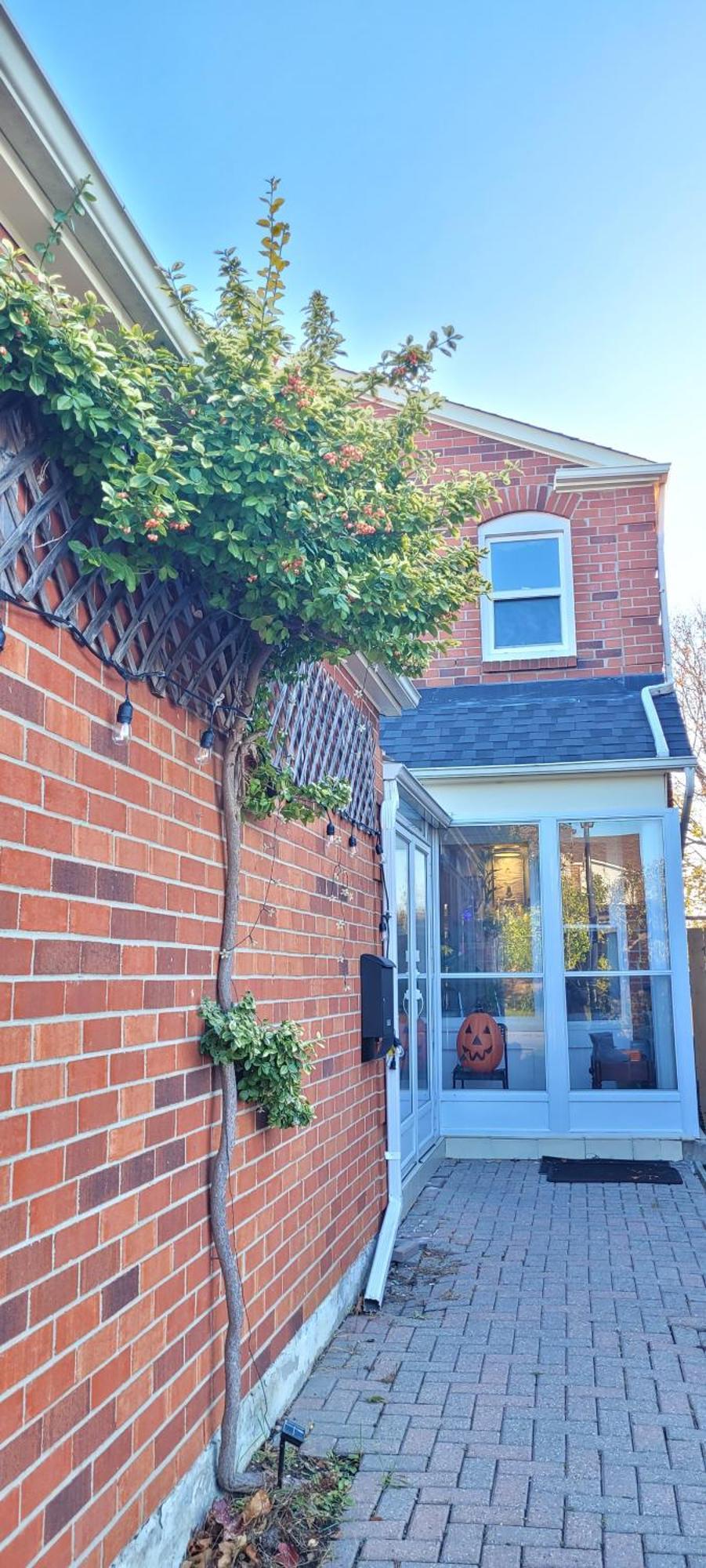 Mainfloor Spacious Room In Toronto Exterior foto